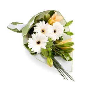 Утренняя роса